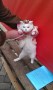 IMAG0263